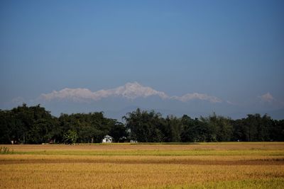 Scenic view of field against sky