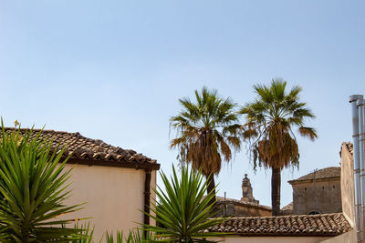 A panorama of roofs, with two palm trees that leave the cathedral of ragusa ibla in the center