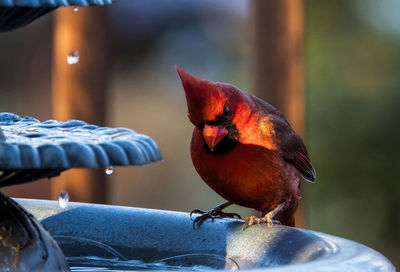 Morning shadows on the fountain.