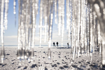 Silhouettes of people on beach. icicles on foreground