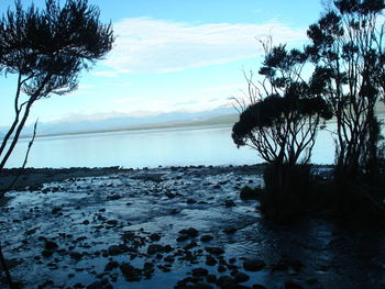 Scenic view of sea against sky during winter