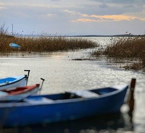 Boats in sea