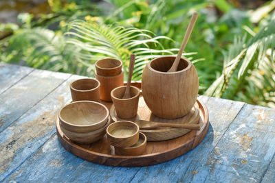 Close-up of potted plant on table