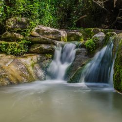 Scenic view of waterfall in forest