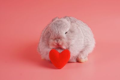 Close-up of a heart shape