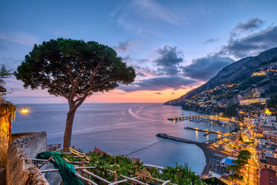 View of amalfi in italy after sunset with a lone pine tree