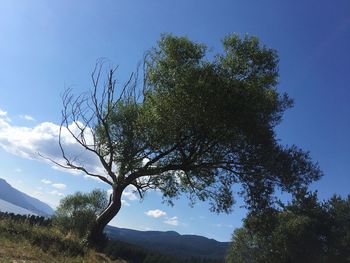 Scenic view of mountains against cloudy sky