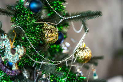 Close-up of christmas tree