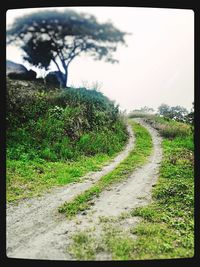 Road passing through field