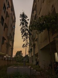 architecture