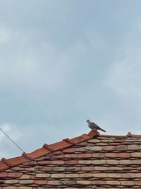 Low angle view of bird perching on roof against sky