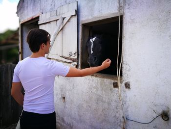 Rear view of man touching cow in barn