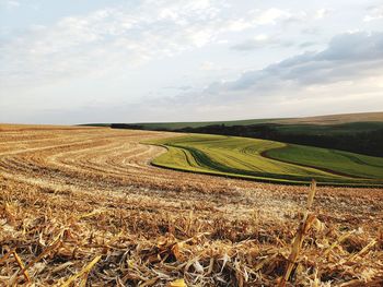 Scenic view of agricultural field against sky