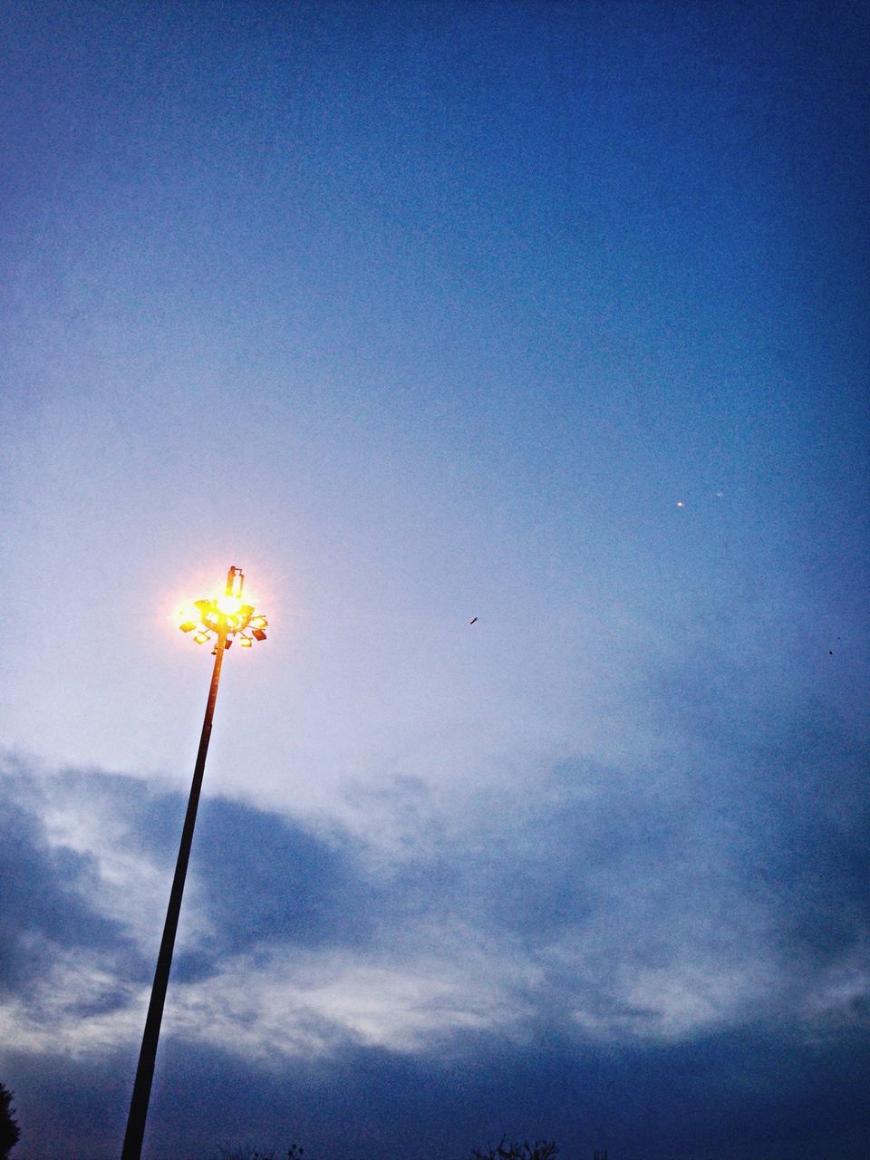 low angle view, blue, sky, street light, copy space, lighting equipment, clear sky, flying, nature, flower, beauty in nature, yellow, outdoors, no people, cloud, cloud - sky, day, mid-air, high section, dusk