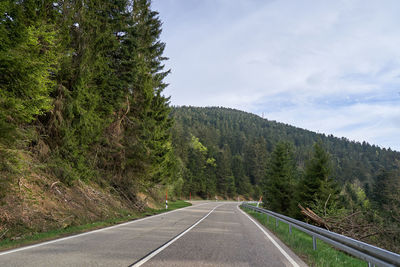 Asphalt road with turns through the coniferous forest of the schwarzwald in germany