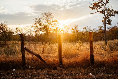 Wooden fence on field against sky