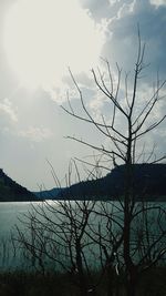 Silhouette bare tree by lake against sky