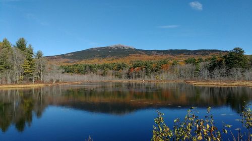 Reflection of trees in calm lake