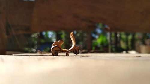 Close-up of man sitting on wood