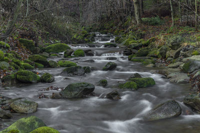 Stream flowing through rocks in forest