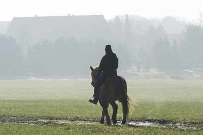 Man riding horse on field against sky