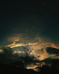 Silhouette of bare trees against sky at sunset