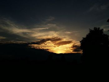 Silhouette of trees at sunset