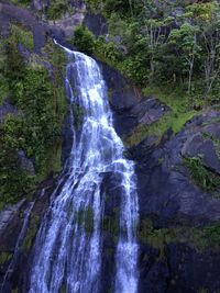 Scenic view of waterfall in forest