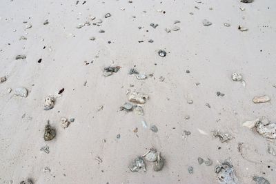 High angle view of footprints on sand