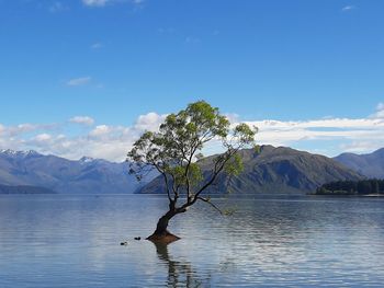 Scenic view of lake and mountains against sky