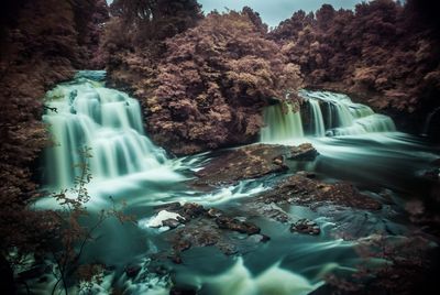 Close-up of waterfall against trees
