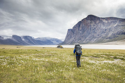 Backpacker hiking through meadow on baffin island, canada.