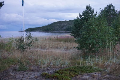 Scenic view of landscape against sky