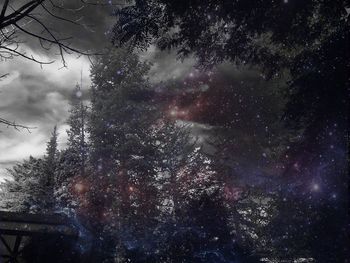 Low angle view of trees against cloudy sky