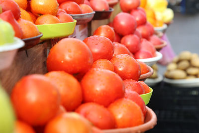 Tomatoes selling on local farm market, eco vegetables, juicy products. shopping organic products. 