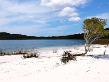 Scenic view of lake against sky