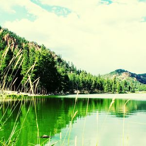 Scenic view of lake by trees against sky