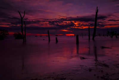 Silhouette trees on shore against sky during sunset