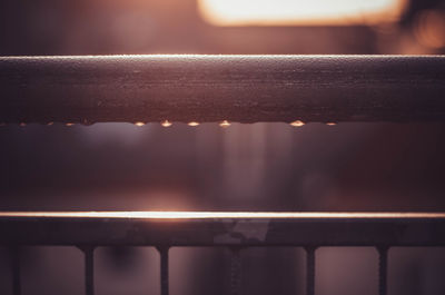 Close-up of wet window