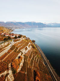 Panoramic views over vineyards of lavaux 