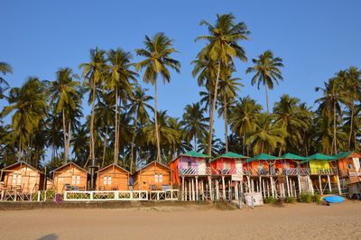 Palm trees on beach against sky