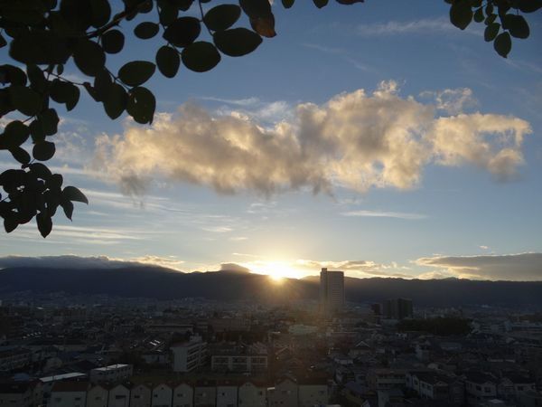 sky, cloud - sky, architecture, building exterior, built structure, city, cityscape, building, nature, sunset, no people, residential district, sunlight, sun, outdoors, sunbeam, high angle view, lens flare, tree, townscape