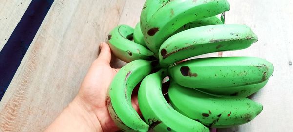 High angle view of hand holding fruit