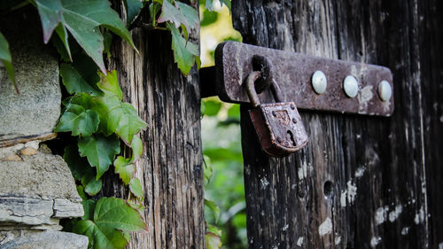 Close-up of locked door with padlock