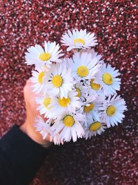 Close-up of hand holding flowers