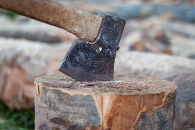 Ax pinned in the stump, cuts of trees, firewood, preparing for cold days, chopping wood