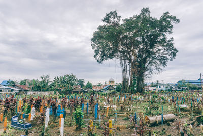 People on tree against sky