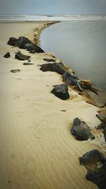 High angle view of sea shore at beach