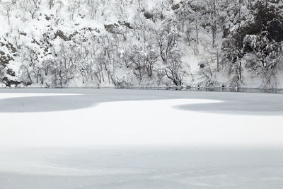 Scenic view of snow covered land and trees