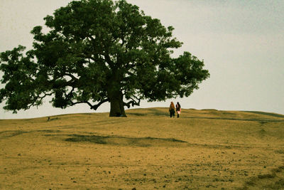 Rear view of women walking towards tree on land against sky
